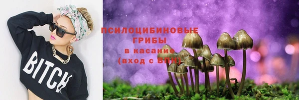 прущие крисы Красноперекопск