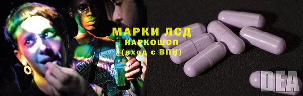 PSILOCYBIN Богородицк