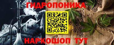 шишки Апшеронск