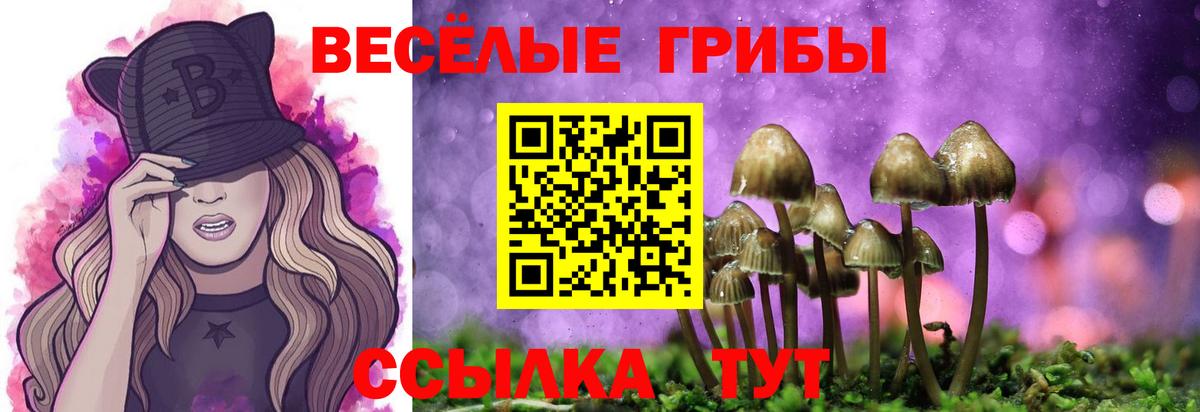 Псилоцибиновые грибы мухоморы Сургут